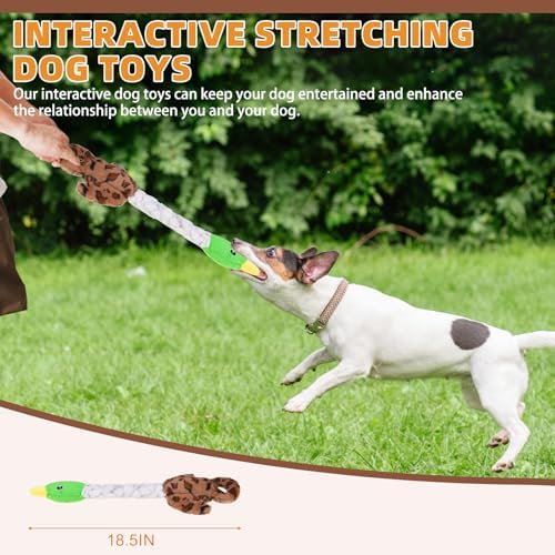 KOOLTAIL Duck Dog Toys, Tough Plush Dog Chew & Squeaky Toys with Crinkle Paper, Interactive Training & Tug of War Puppy Teething Toy for Indoor Outdoor Play, Soft Pet Toy for Small Medium Large Dogs