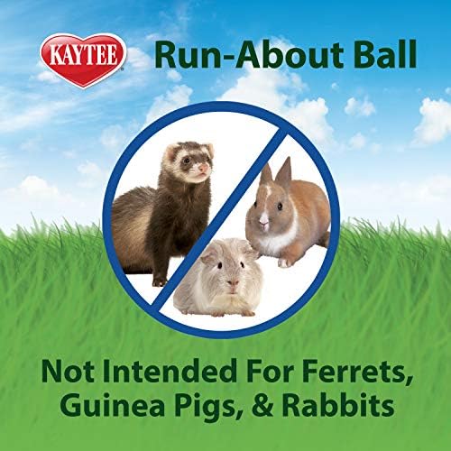 Kaytee 11.5" Clear Run-About Exercise Ball for Hamster & Gerbil Pets