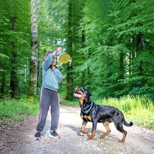Fuzzl Eco Leather Lily Frog Natural and Tough Dog Toys - Dog Toy for Dogs and Puppy