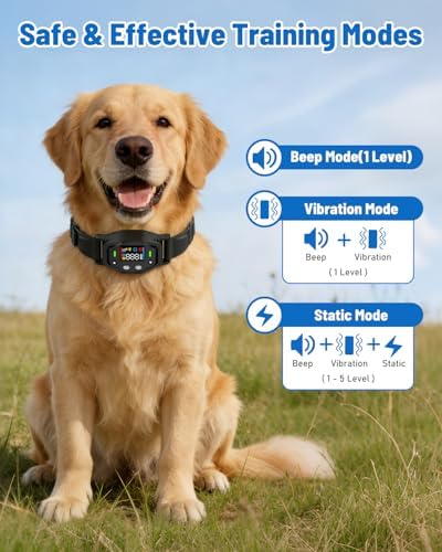 GPS Wireless Dog Fence with 25-999 Yard Range, for Dogs 18+ lbs | Electric Perimeter Containment System with IPX7 Waterproof Collar, Beep Vibration Shock Correction