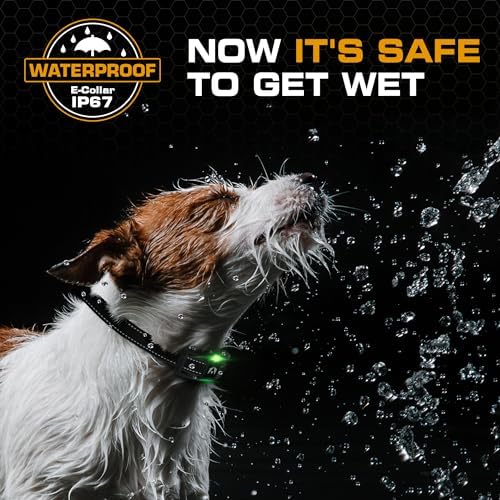 INVIROX 2026 Edition Dog Training Collar with Remote - 123 Level Shock Collar for Dogs, 1100 yd Range, Waterproof Rechargeable System with Manual Bark Control for Stubborn, Reactive Dogs