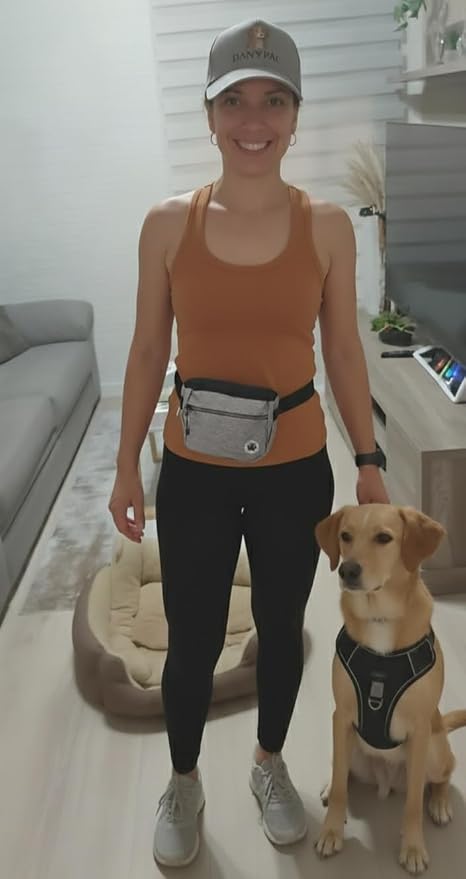 Dog Walking Waist Bag, Gray, Navy Blue, with Bungee Leash, Hands-Free Training Pouch, Treat Storage, Poop Bag Dispenser (Gray)