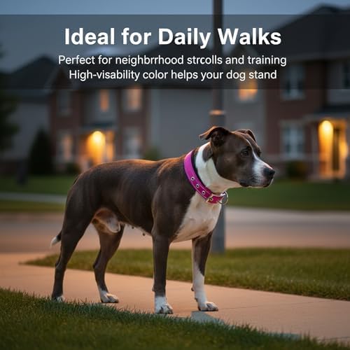 Reflective Soft Padded Dog Collar, 4 Sizes Adjusta Nylon Pet Collar