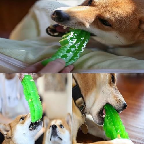 Lettuce Pets Dog Toys, Low Feed Chew and Fetch Crocodile Device Toy for for Medium & Small DogsOdontological Health Inside Use Robust Substance