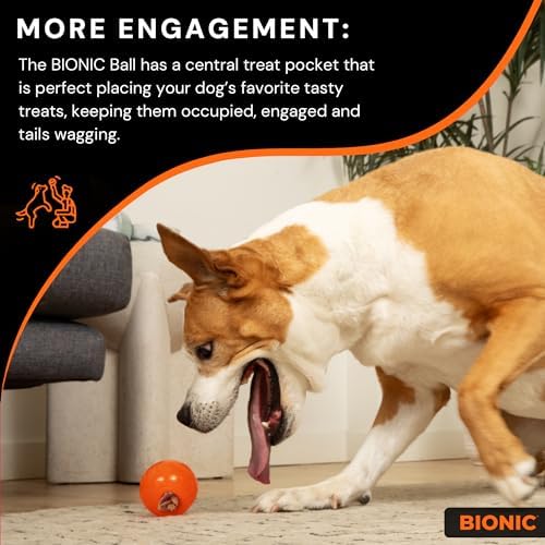 BIONIC Ball Dog Toy for Dogs Between 30-60+ lbs, Large