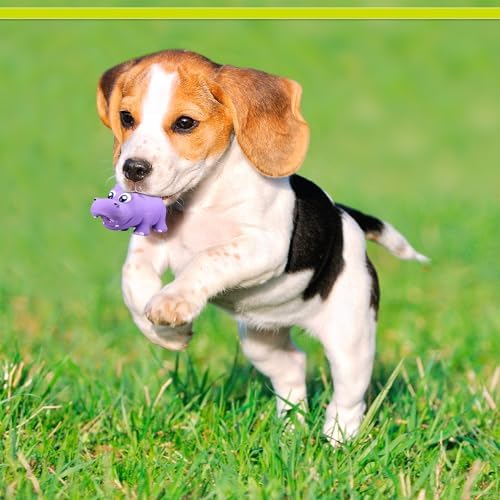 PetSport Naturflex Tiny Tots Hippo Toy - Durable & Long-Lasting, Non-Toxic Material, Internal Squeaker, Rubber Toy for Dogs, Ideal for Interactive Play and Engagement