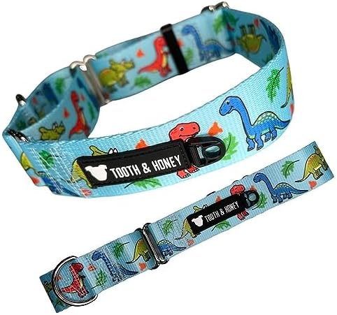 Tooth & Honey Martingale Dog Collar, 1.5-Inch Wide Dinosaur Print Design