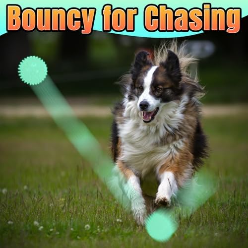 LECHONG 4-Pack Glow in The Dark Squeaky Dog Balls, 4.5” Large Spiky Dog Toy Balls, Durable Glowing Rubber Fetching Ball for Medium & Large Dogs Nighttime Playing Indoors & Outdoors