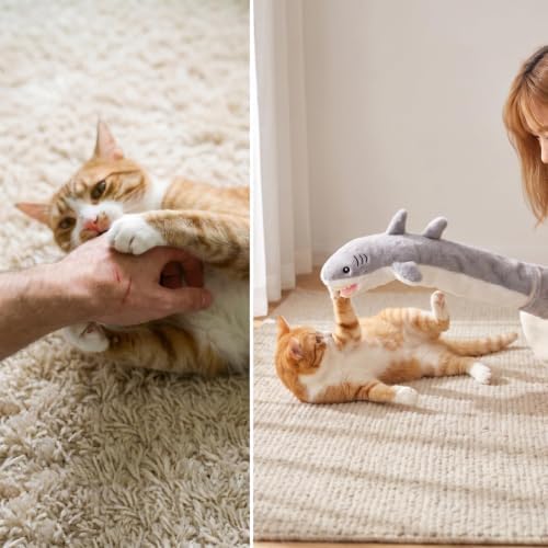 20 Pcs Cat Wrestling Glove Toy, Interactive Cat Toys for Indoor Cats
