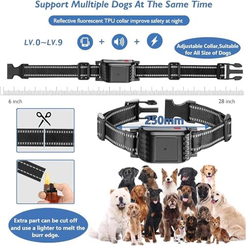 Dog Wireless Fence & Remote Shock Dog Training Collar 2-in-1, Electric Dog Fence, Adjustable Warning Strength & Range Sizes, Rechargeable Pet Boundary Containment System for 1/2/3/4 Dogs,for3dogs