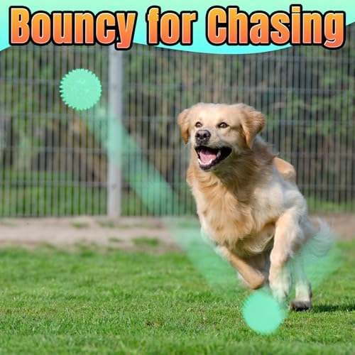 LECHONG 6-Pack Glow in The Dark Squeaky Dog Balls, 3.5” Spiky Dog Toy Balls, Durable Glowing Rubber Fetching Ball for Medium & Large Dogs Nighttime Playing Indoors & Outdoors