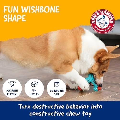 Arm & Hammer Nubbies Wishbone Dental Dog Chew Toy, Chicken Flavor