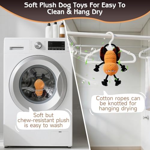 Yipetor Cockroach Squeaky Dog Toy, Puppy Rope Chew Toy for Medium Dogs