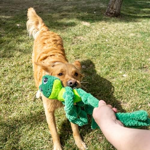 KONG Knots Oversized Dog Toy - Large/X-Large - with Inner Rope Skeleton (Frog/Monkey Combo)