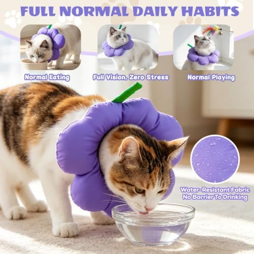 EMUST Soft Cat Cone for After Surgery, Recovery Collar for Kittens Purple
