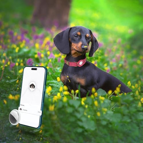 AirTag Dog Collar - Genuine Leather Dog Collar with Apple AirTag Holder and Metal Buckle - Smart GPS Tracking Pet Collars (Pink, S, 12"-15" Neck Fit)