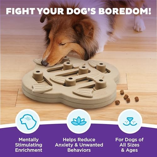 Outward Hound by Nina Ottosson Dog Hide N' Slide Treat Puzzle Enrichment Toy, Level 2 Intermediate, Tan, Composite