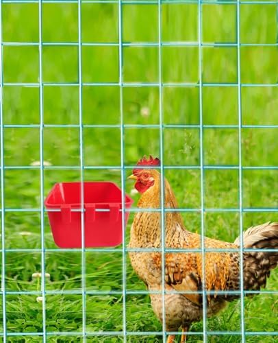 Pack of 10 Cage Cups Birds Feeders Seed Bowl Chicken Feeding Watering Dish Rabbit Water Food Hanging Wire Cages Box 8 oz Coop Cups for Pet Parrot Parakeet Game Fowl Poultry Pigeon
