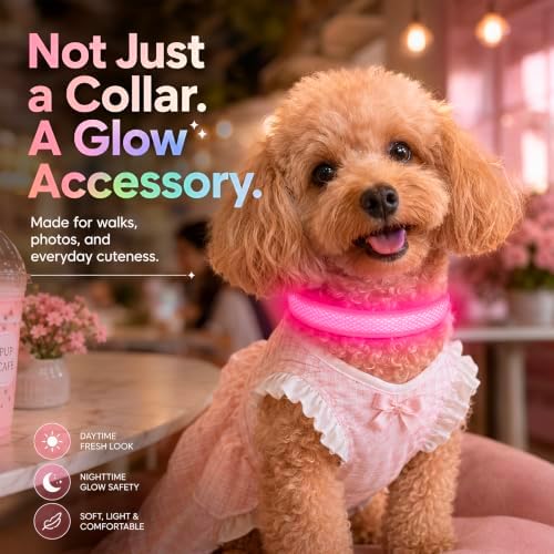 Multicolor LED Dog Collar USB-C Rechargeable, Light Up Dog Collar, Rainbow Gradient Glowing Dog Collar with 4 Light Modes, Adjustable Candy Mesh Pet Collar(Pink, Large)