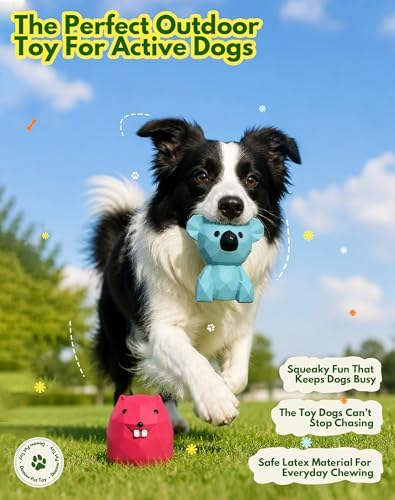 Deeow Soft Latex Dog Toys, Squeaky Puppy Teething Enrichment Toys 2''