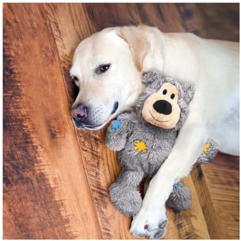 KONG Wild Knots Bears - Durable Dog Toys with Internal Knotted Ropes and Minimal Stuffing for Less Mess (Assorted Colors) (Medium/Large (2 Pack))