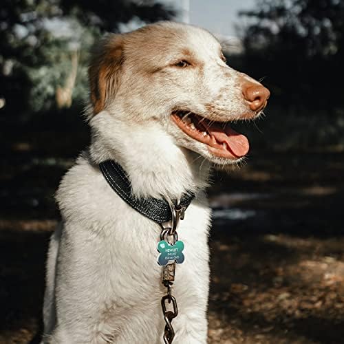 QR Code Dog Tag -On Pet ID Name Tag for Dogs, Cats & Horses – Custom Personalized Noiseless Tag with Jingle-Free Fit & Online Profile Display