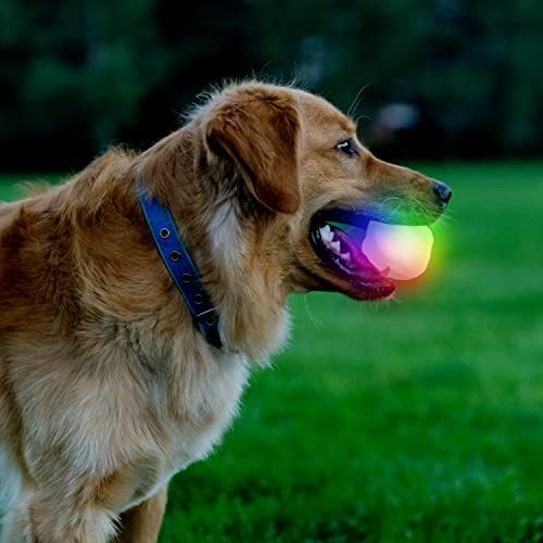 Nite Ize GlowStreak Wild LED Ball, Bouncy Motion Activated Light Up Dog Ball for High Energy Dogs, Disc-O