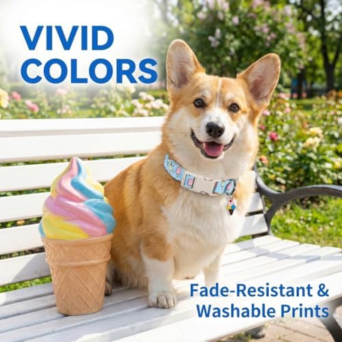 Cute Dog Collar, Girl Boy Dog Collar for Medium Dogs, Blue Collar with Ice Cream Print for Spring Summer, Adjustable Pet Collar Made of Soft Durable Fabric and Robust Buckle, M