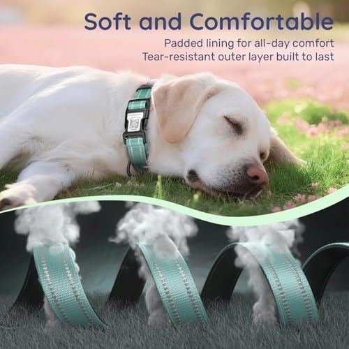 Dog Collar for Small Medium Large Dogs