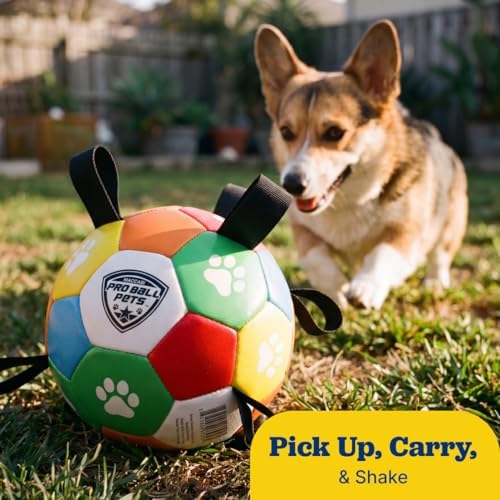 Maccabi Interactive Dog Soccer Ball for Dogs, 6” with Straps & Grab Tabs, Floats on Water, Fetch & Training Toy for Small/Medium Dogs, Herding Breeds, Waterproof Non-Toxic – ProBall Pets – Multicolor