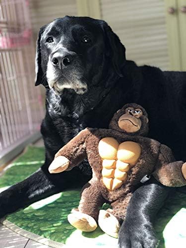 IOEN Patent Gum Massage Interactive Dog Chew Toys for Medium/Large Dogs,Durable Plush Stuffed Squeaky Dog Toys,12 Inches