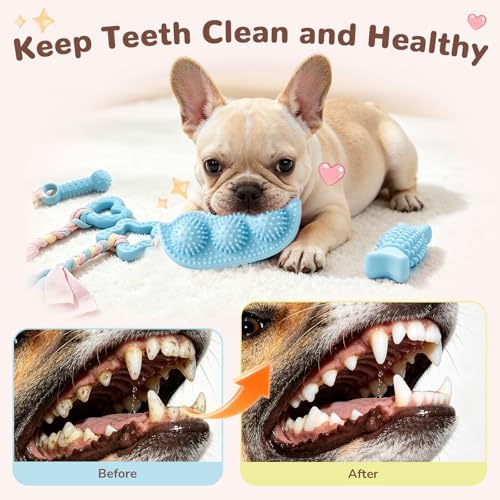 5 Pack Puppy Chew Toys for Small Dogs,Puppy Teething Toys for Small Puppies,Soft Rubber Dog Toys for Small Breed Interactive Chew Toys to Keep Them Busy (Blue)