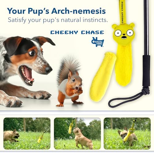 Race&Herd Cheeky Chase Flirt Pole for Dogs Heavy Duty - Catch Rod for Pet Fishing Toy, Tug of War Dog Toy for Aggressive Chewers, Dog Rope Toys for Medium Dogs