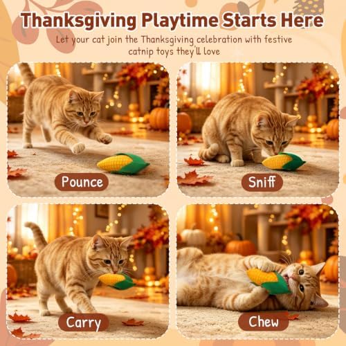 CiyvoLyeen Plush Thanksgiving Catnip Toys for Indoor Cats 6 Pack