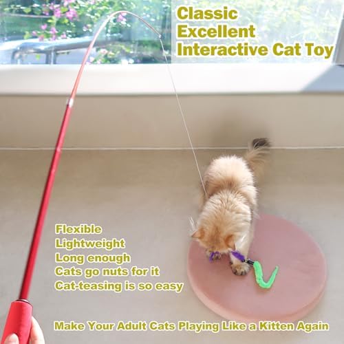 MeoHui Cat Toys for Indoor Cats, Interactive Cat Toy 2PCS Retractable Wand Toy and 9PCS Cat Feather Toys Refills, Funny Kitten Toys Cat Fishing Pole Toy for Bored Indoor Cats Chase and Exercise