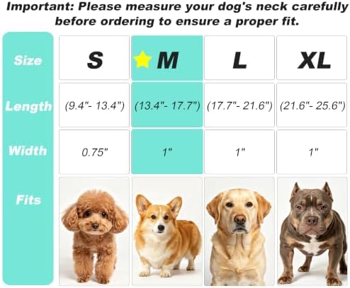 Reflective Dog Collar for Medium Dogs Wide Padding 6 Holes Adjusta