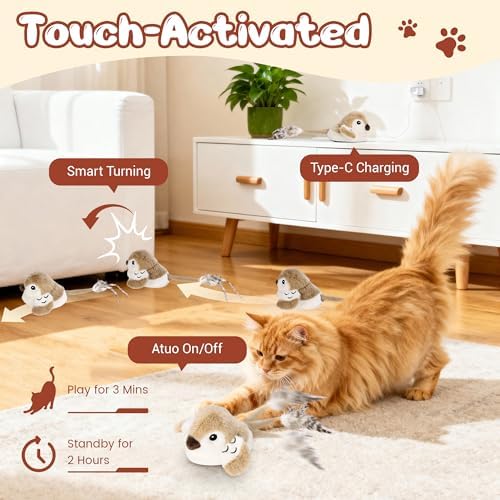 Pawingcat Moving Bird Interactive Cat Toy with Catnip Toys