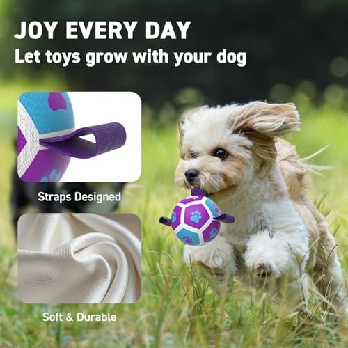 QDAN Small Dog Toys, Puppy Balls, Dog Balls with Straps for Small Breed | 3.5 Inch Small Soccer Ball for Dogs, Puppy Toys for 3-15 lbs Dogs, Dog Birthday Gift, Herding Ball for Small Dogs, Purple