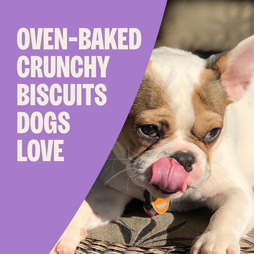 Wellness Old Mother Hubbard Training Bitz Assorted Mix Dog Treats, Natural Biscuits, 3 Flavors, 8 oz Bag