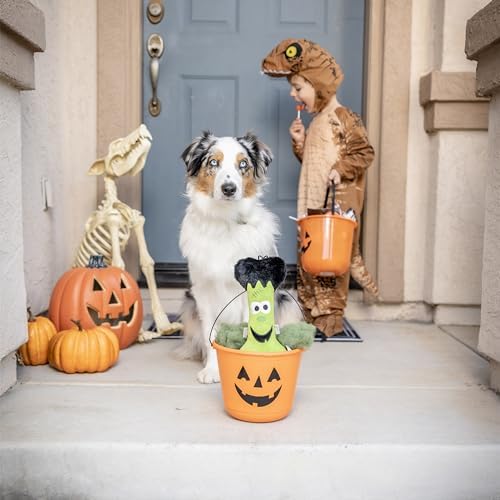 Huxley & Kent for Dogs | Franken Bone | Halloween Power Plush Dog Toy with Squeaker | Funny Dog Toy Gift | Fun, Durable, and Safe | H&K Squeaky Dog Toys