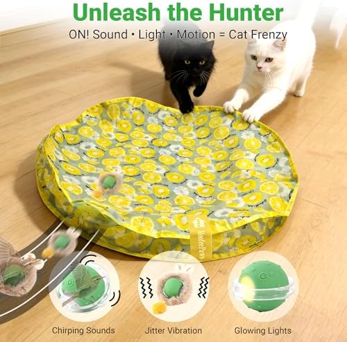 Cat Toys for Indoor Cats, Interactive Cat Toy for Adult Cats