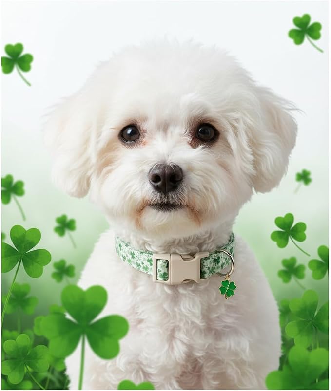 Green Dog Collar, Cute Spring Dog Collar with Green Clover Print for Large Dogs, Breathable Adjustable Large Collars for Male Female Dogs, L