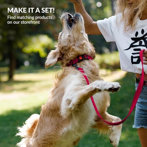 Reflective Dog Collar, Quick-Release Buckle (Pink, 10-13 Inch)