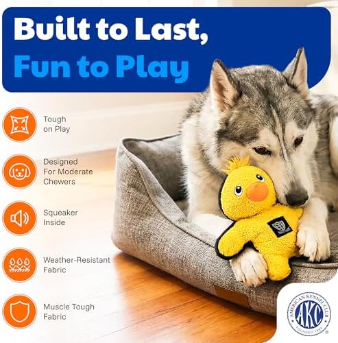 American Kennel Club Plush Dog Toy with Squeaker for Moderate Chewers, Soft Stuffed Dog Toy for Tugging, Fetch & Interactive Play, Gentle on Teeth