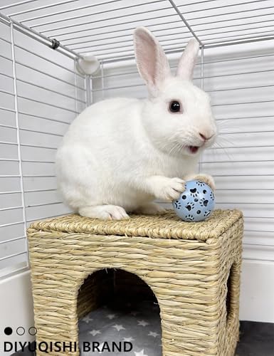 12-Pack Rabbit Chew Ball Toys with Squeakers, Non-Toxic PP
