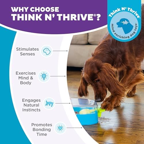 Outward Hound Nina Ottosson Paw N' Play Dog Toy Treat Puzzle, 15.4" | Level 2 Intermediate, Holds 1/3 Cup Kibble or Treats, Non-Slip Base, Easy Clean, Interactive Enrichment, Dogs & Puppies