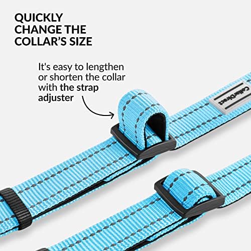 Reflective Dog Collar, Quick-Release Buckle (Light Blue, 10-13 Inch)
