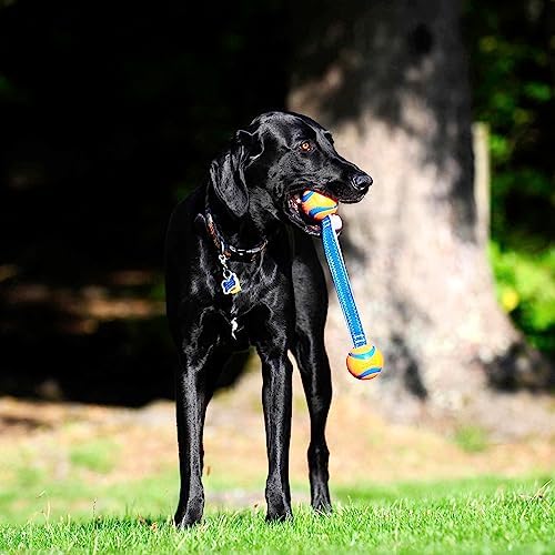 Chuckit! Ultra Duo Tug Toy, Small Indoor and Outdoor for Dogs 0-20 Pounds