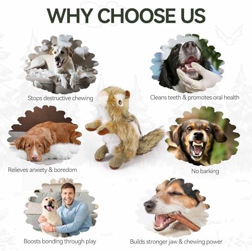 ALL FOR PAWS Squeaky Dog Toys, Plush Dog Toy, Stuffed Animal Dog Toys for Small Medium Large Dogs, Soft Chipmunk Toy with Squeaker