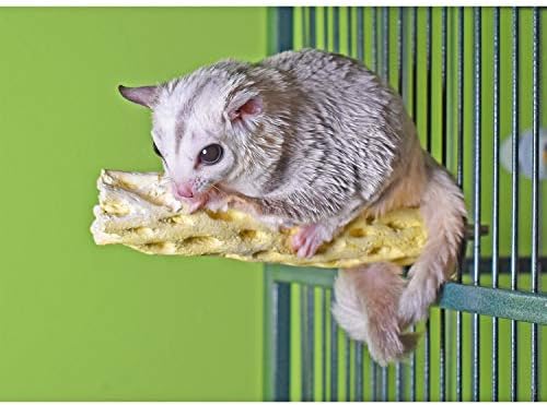 Exotic Nutrition Chew Toy Bundle - Natural Interactive Chew Toys - Chinchillas, Guinea Pigs, Hamsters, Rabbits, Degus, Prairie Dogs, Small Pets